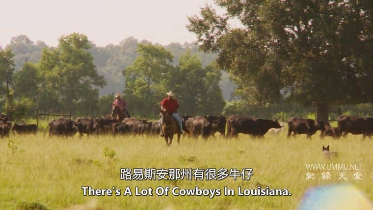 美国公路之旅 Backroads USA插图1