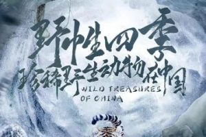 野性四季：珍稀野生动物在中国