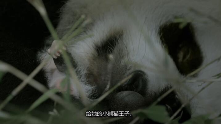 未至之境/中国的隐秘王国 The Hidden Kingdoms of China 第1季插图1