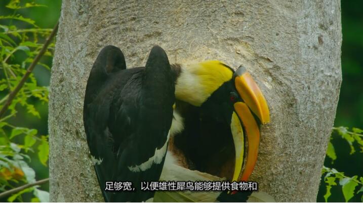 未至之境/中国的隐秘王国 The Hidden Kingdoms of China 第1季插图3