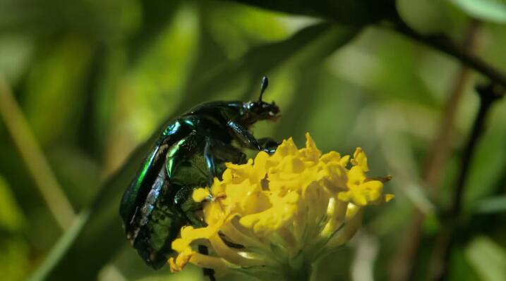 未至之境/中国的隐秘王国 The Hidden Kingdoms of China 第1季插图4