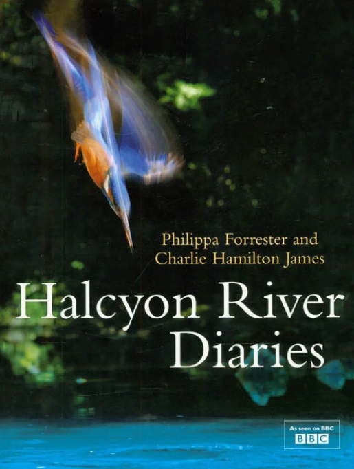 翠鸟河日记 Halcyon River Diaries插图