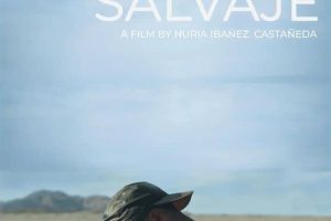 激流狂潮  A Wild Stream