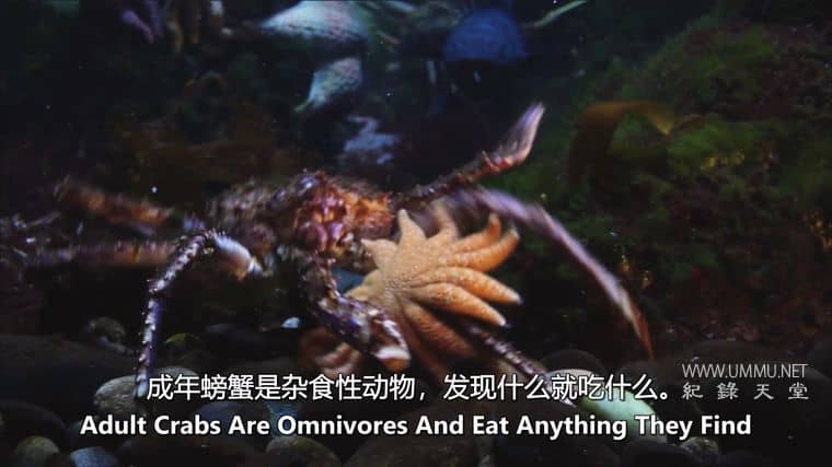 怪物入侵 Alien Takeover插图3