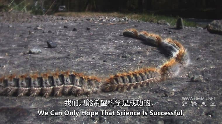 怪物入侵 Alien Takeover插图6