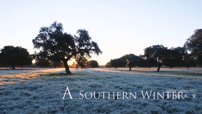 南方的冬天 A Southern Winter插图