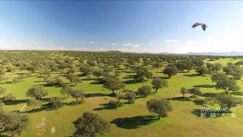 南方的冬天 A Southern Winter插图1