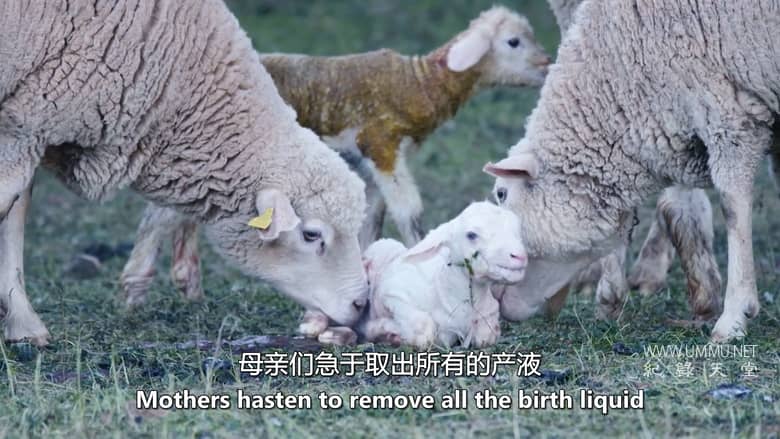 南方的冬天 A Southern Winter插图2