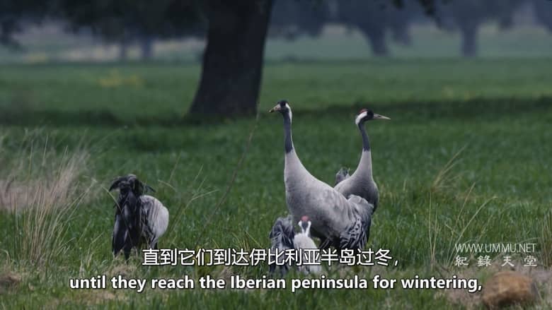 南方的冬天 A Southern Winter插图3