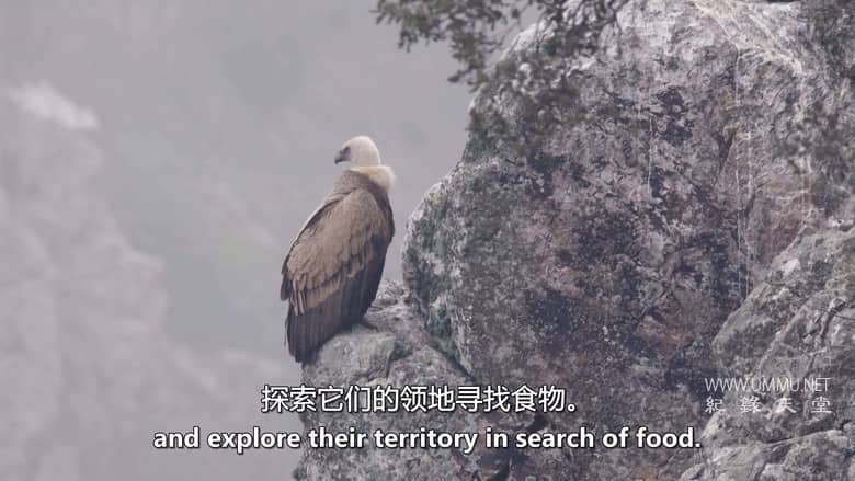 南方的冬天 A Southern Winter插图4