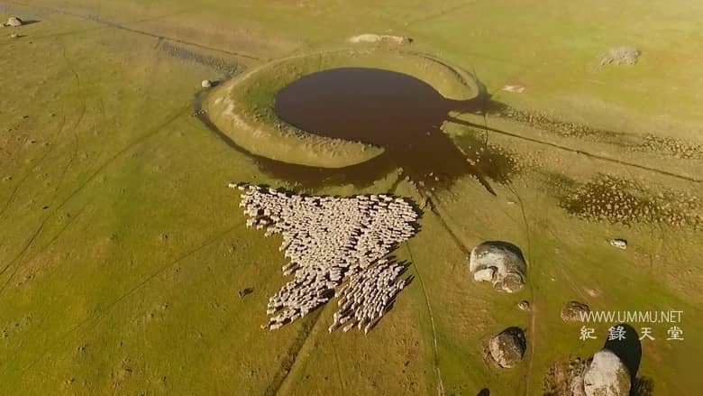 南方的冬天 A Southern Winter插图5