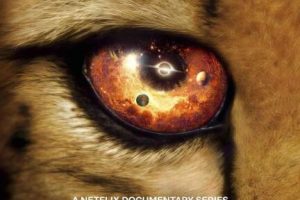 我们的浩瀚宇宙/我们的宇宙  第1季 Our Universe