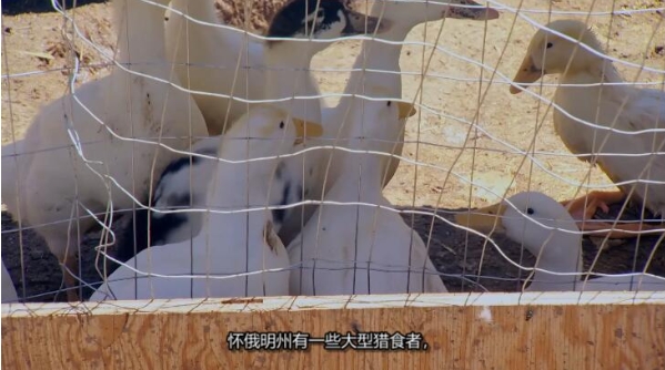 抢救脱网族 第10季  HOMESTEAD RESCUE插图2