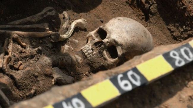 巨人族 A Race of Giants插图2