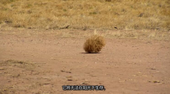 [抢救脱网族 第11季 HOMESTEAD RESCUE插图2