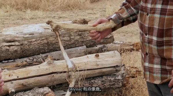 [抢救脱网族 第11季 HOMESTEAD RESCUE插图3