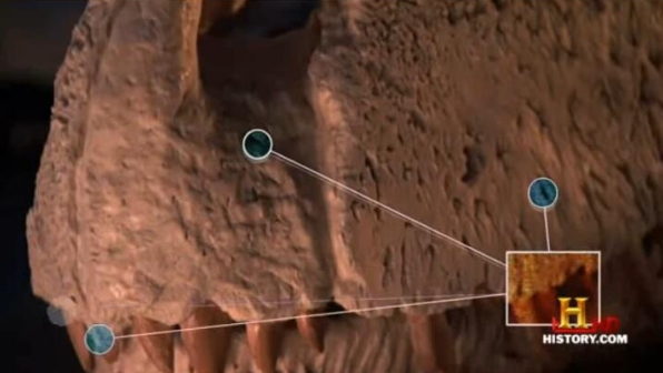 侏罗纪格斗俱乐部   第1季  Jurassic Fight Club插图1