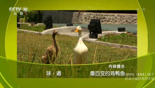 味道 最百变的鸡鸭鱼插图1