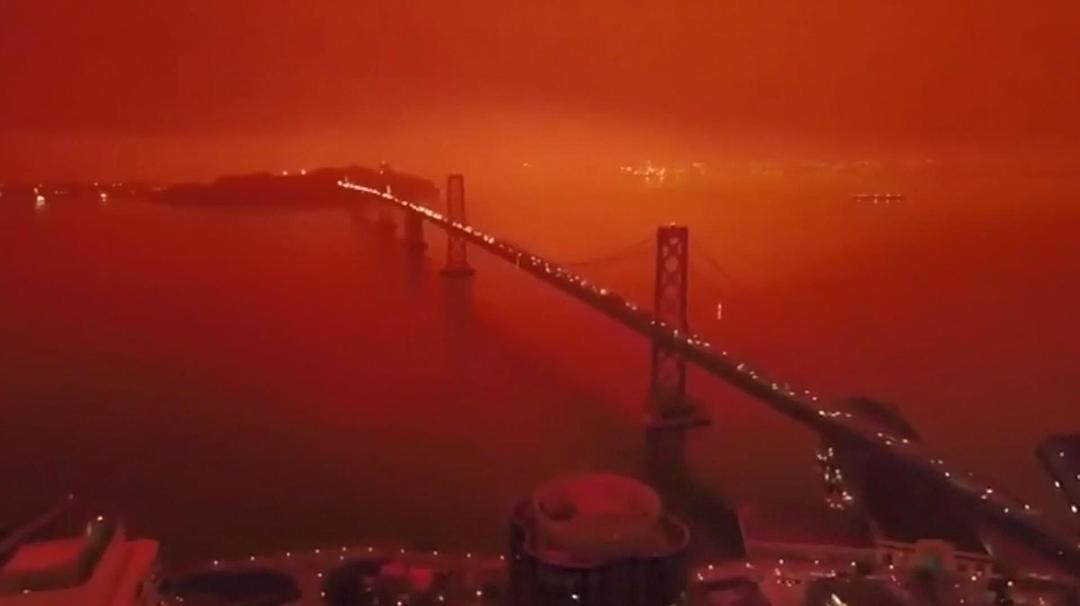 完全可控 Totally Under Control插图3