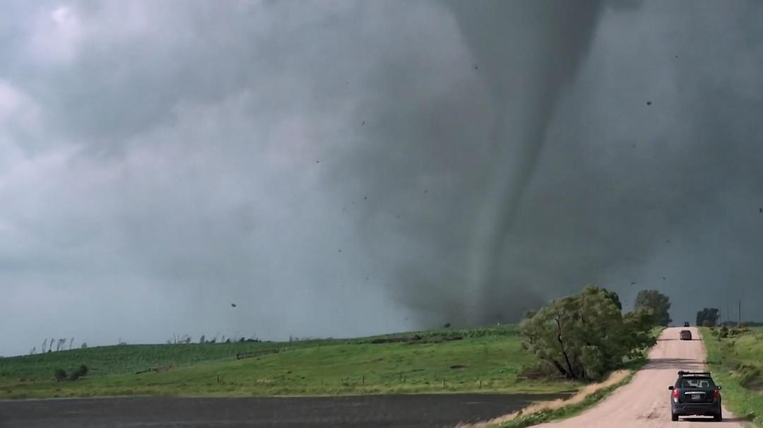 完全可控 Totally Under Control插图4