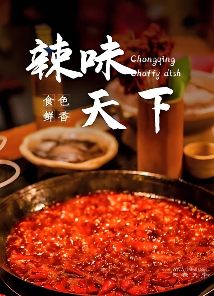 辣味天下 Chongqing Choffy Dish插图