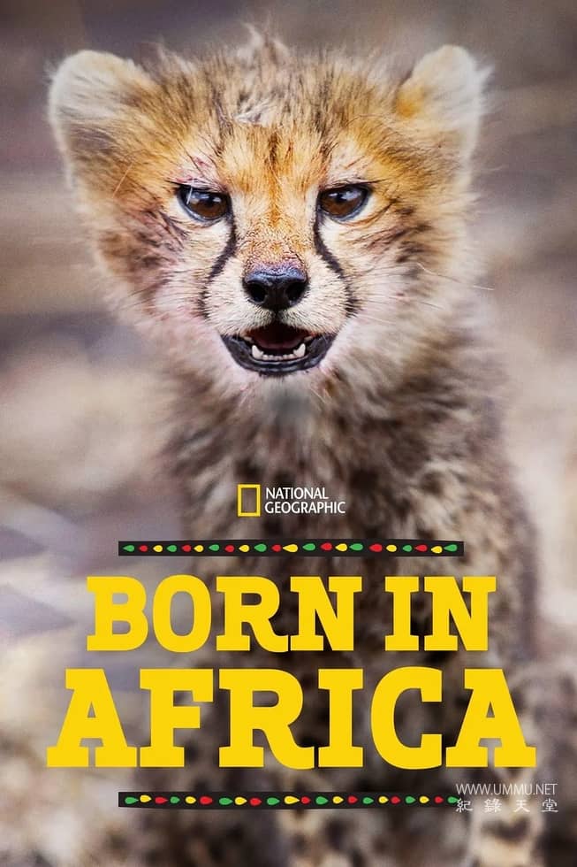非洲原野育成记 Born In Africa插图