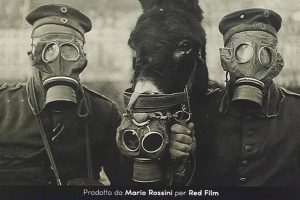 战争中的动物 Animali nella Grande Guerra