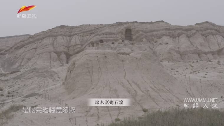 国宝里的新疆插图5