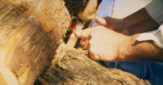 抢救脱网族 第3季  HOMESTEAD RESCUE插图3