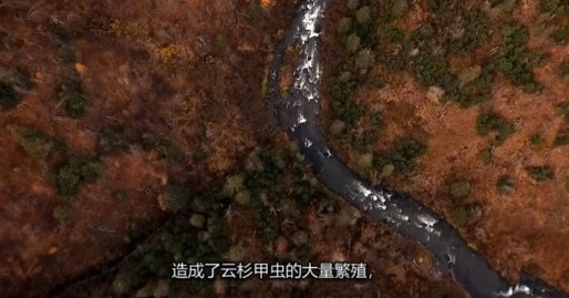 抢救脱网族 第5季  HOMESTEAD RESCUE插图1