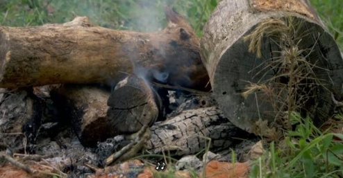 抢救脱网族  第4季  HOMESTEAD RESCUE插图3