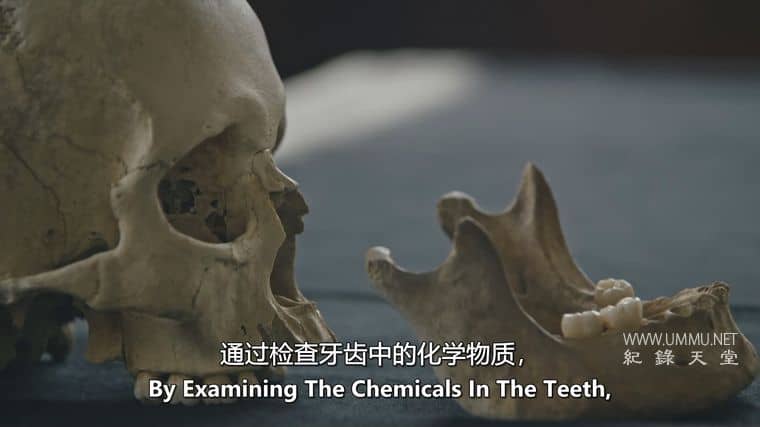 非洲与英国：被遗忘的历史 Black and British: A Forgotten History插图2