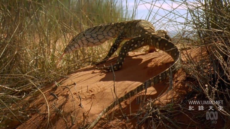 澳大利亚重制版 Australia Remastered插图7