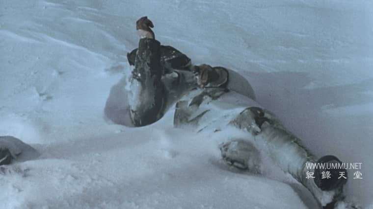 启示录 希特勒征战东方 Apocalypse Hitler Takes on the East插图7