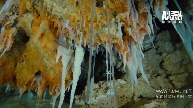 蓝色巴哈马：蓝洞与洞穴 Bahama Blue:Blue Holes And Caves插图4