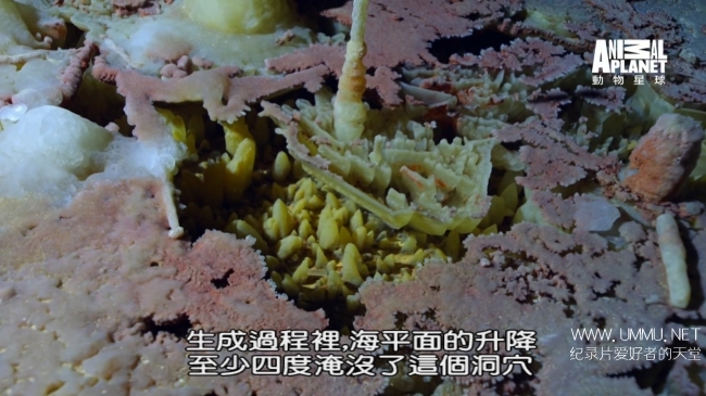 蓝色巴哈马：蓝洞与洞穴 Bahama Blue:Blue Holes And Caves插图8