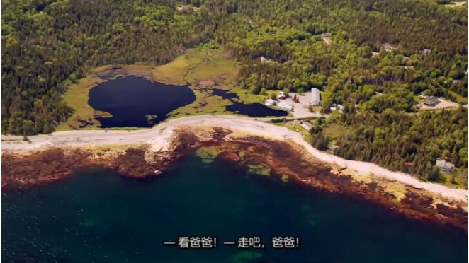 岛屿生活/岛屿寻屋趣  第4季  Island Life插图1