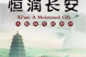 恒润长安 Xi’an:A Moistened City 2014