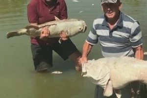 澳大利亚水战争 Australia's Water Wars