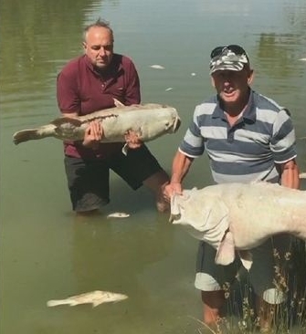 澳大利亚水战争 Australia's Water Wars插图