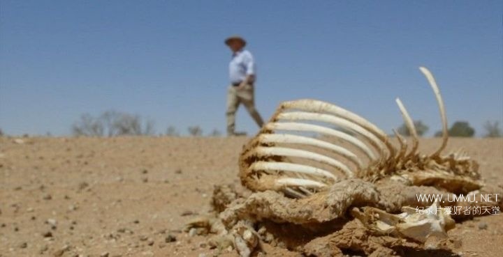 澳大利亚水战争 Australia's Water Wars插图3