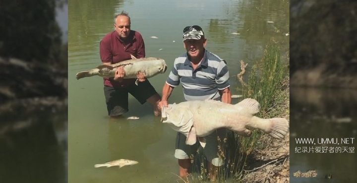 澳大利亚水战争 Australia's Water Wars插图4