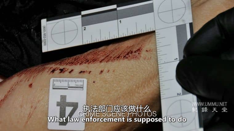 被告：有罪还是无罪？Accused: Guilty or Innocent?插图6