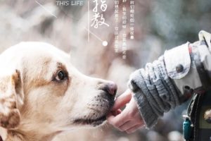 今生，请多指教