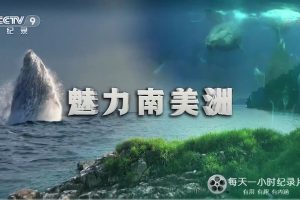 魅力南美洲/野性拉丁美洲 Wild Latin America 2018