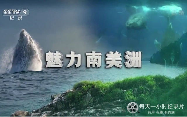 魅力南美洲/野性拉丁美洲 Wild Latin America 2018插图