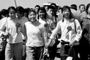 再见，知青精神病医院