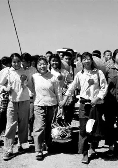 再见，知青精神病医院插图