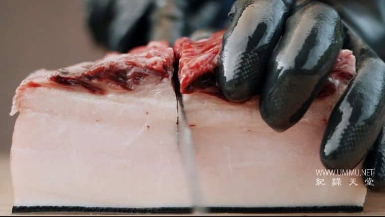 鲸鱼的味道 A Taste of Whale插图1