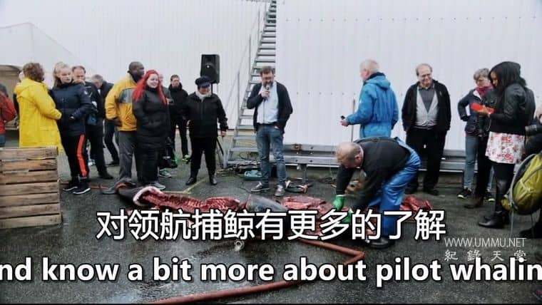 鲸鱼的味道 A Taste of Whale插图3